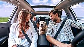 Eine Familie mit Hund sitzt im Auto auf dem blauen AUTOZUG Sylt.