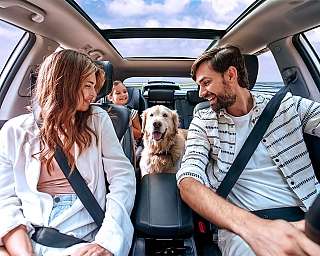 Eine Familie mit Hund sitzt im Auto auf dem blauen AUTOZUG Sylt.