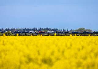 Der blaue AUTOZUG Sylt auf der Strecke
