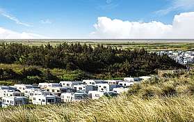Campingplatz auf Sylt mit vielen Wohnwagen und im Hintergrund Wald und Dünen