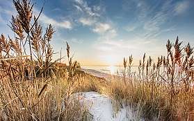 azs sylt2