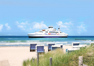 Fahrt durch ein Rapsfeld